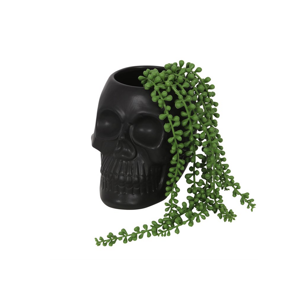 Black Skull Plant Pot