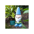 Large Weather Forecasting Gnome