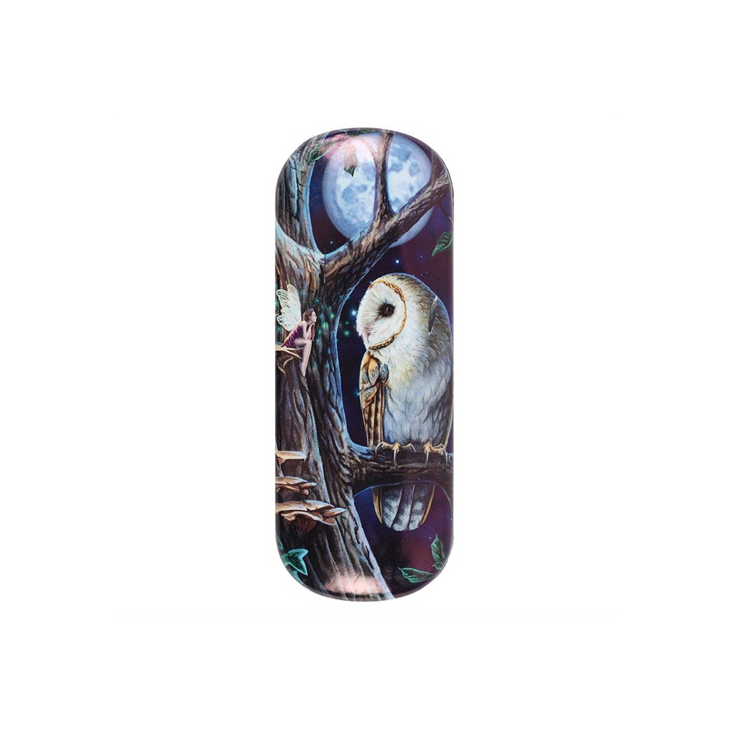 Fairy Tales Glasses Case by Lisa Parker