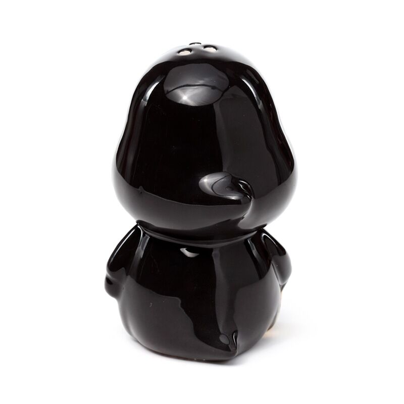 Puckator Skull Boy & Ghost Boy Ceramic Salt & Pepper Set