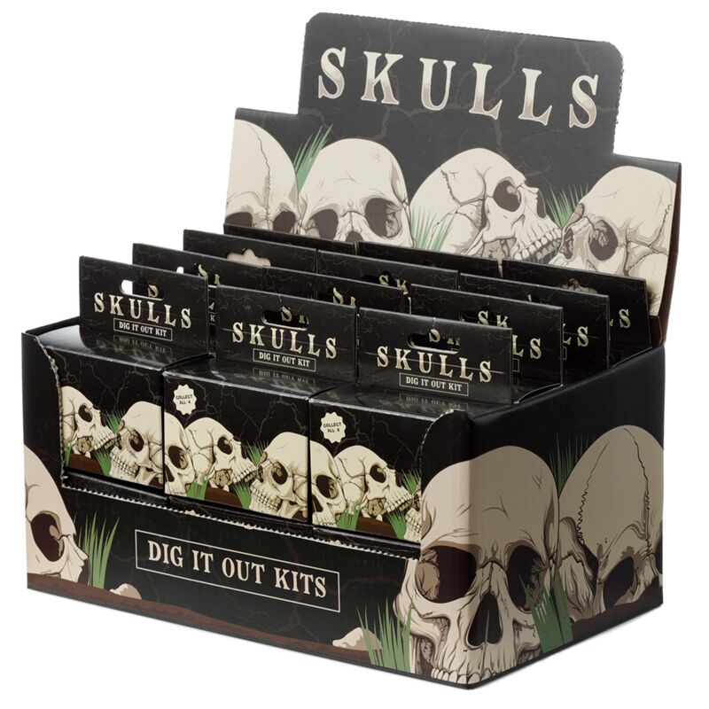 Puckator Human Skull Dig-A-Saurs Dig it Out Kit