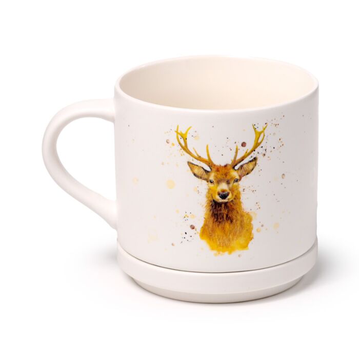 Puckator Jan Pashley Stag Porcelain Mug & Coaster Lid Set