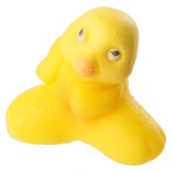 Puckator Chicken Hatching Egg