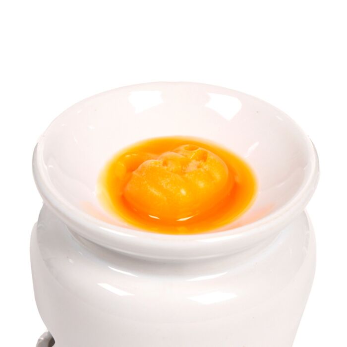 Puckator Spooky Set of 5 Shaped Wax Melts