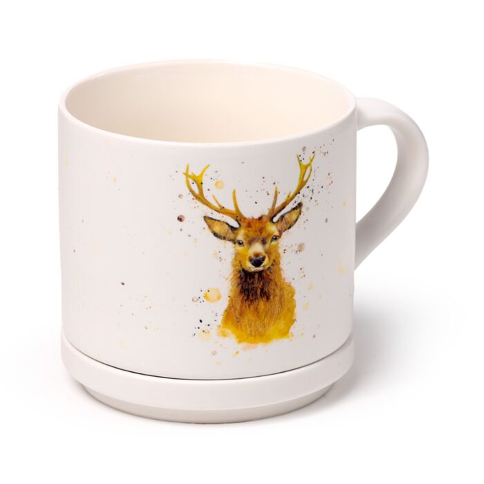 Puckator Jan Pashley Stag Porcelain Mug & Coaster Lid Set