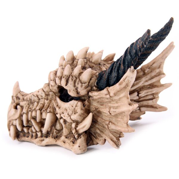 Puckator Dragon Skull Money Box