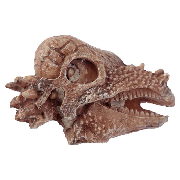 Puckator Rawr Dinosaur Skull Fossil Dig-A-Saurs Dig it Out Kit