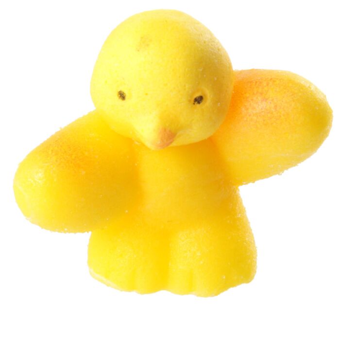 Puckator Chicken Hatching Egg