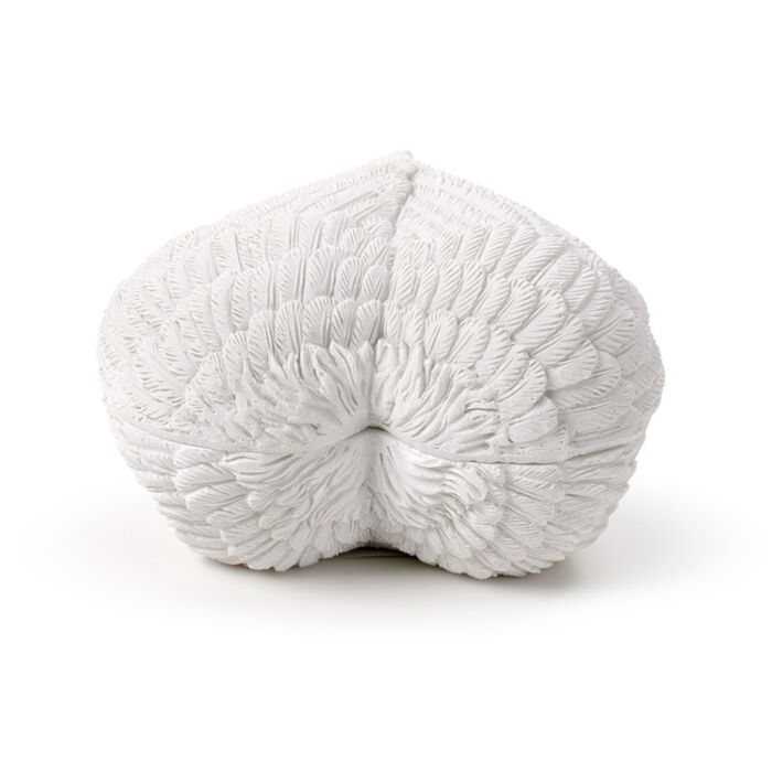 Puckator Wings of the Heart Angel Wings Trinket Box