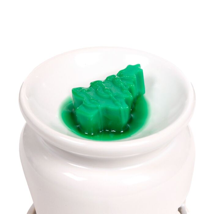 Puckator Cosy Christmas Jingle Bunch Set of 5 Shaped Wax Melts