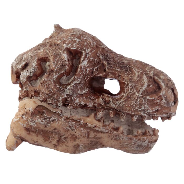 Puckator Rawr Dinosaur Skull Fossil Dig-A-Saurs Dig it Out Kit