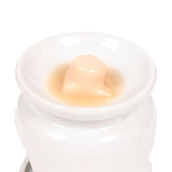 Puckator Eden Set of 6 Teakwood & Jasmine Wax Melts