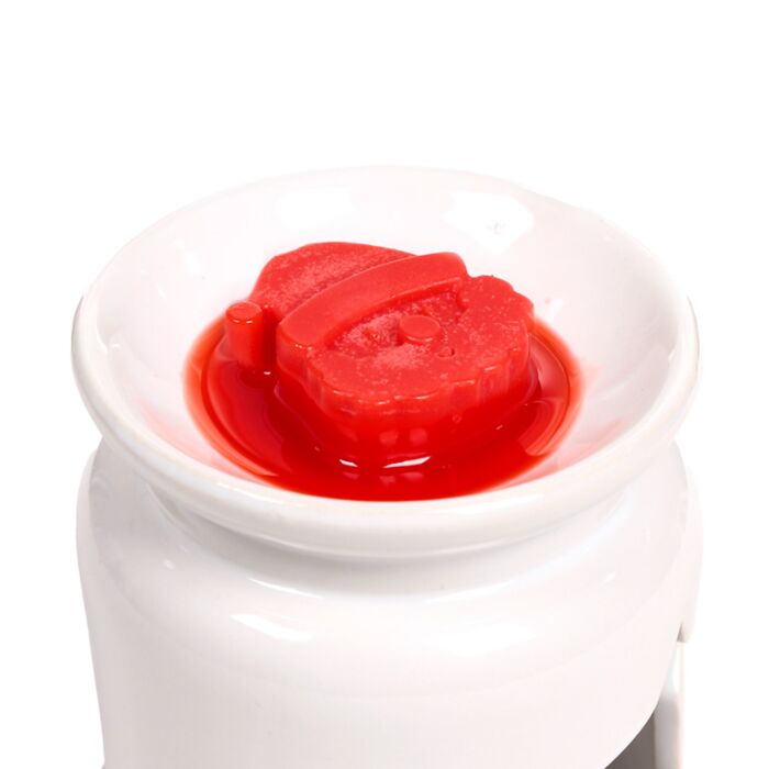 Puckator Cosy Christmas Jingle Bunch Set of 5 Shaped Wax Melts