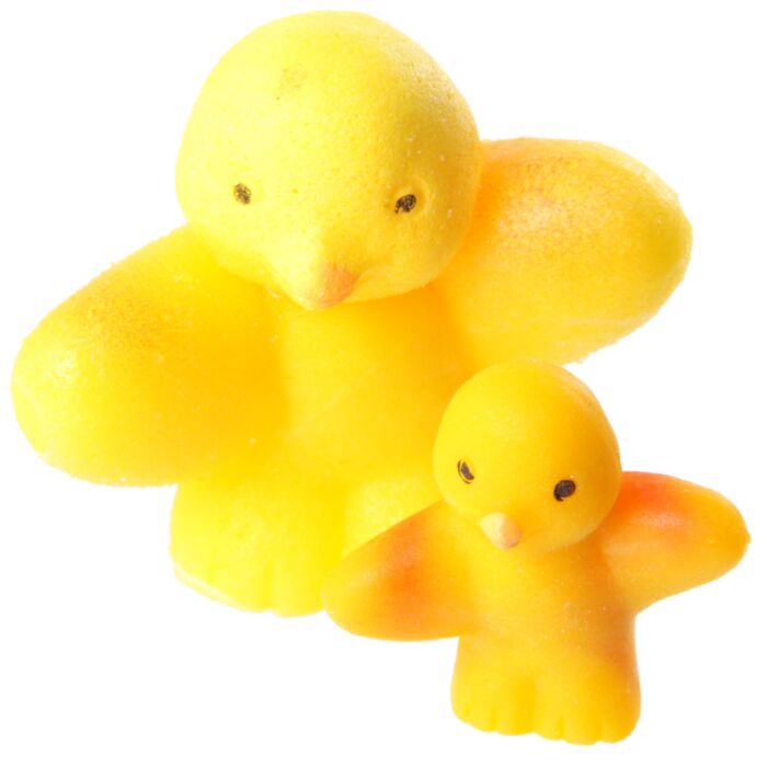 Puckator Chicken Hatching Egg