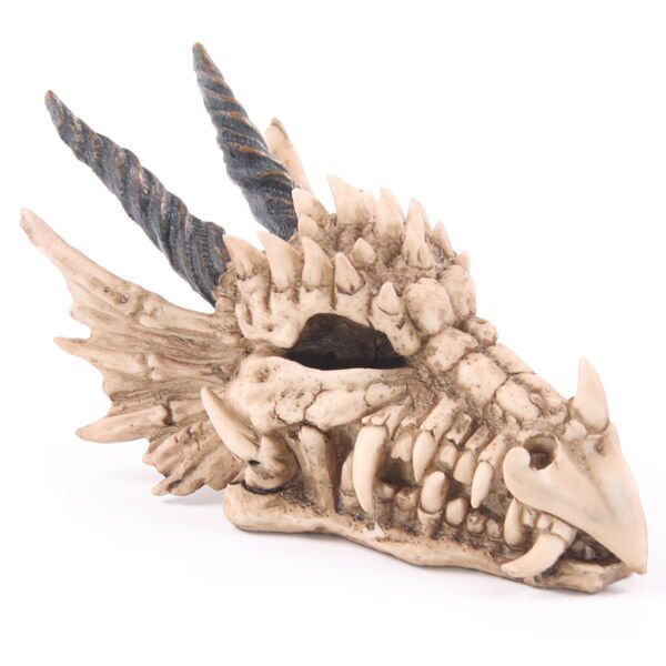 Puckator Dragon Skull Money Box