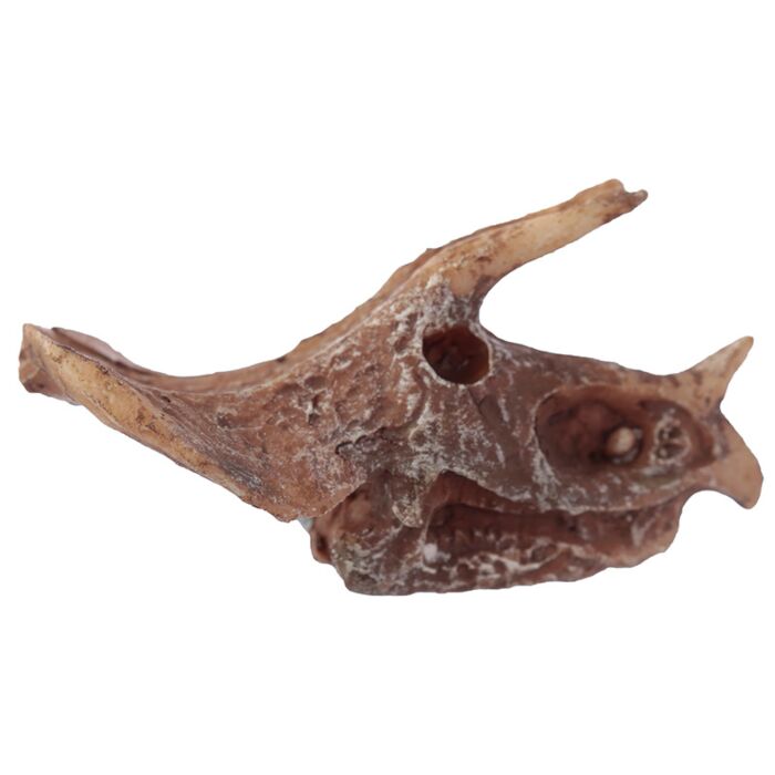 Puckator Rawr Dinosaur Skull Fossil Dig-A-Saurs Dig it Out Kit