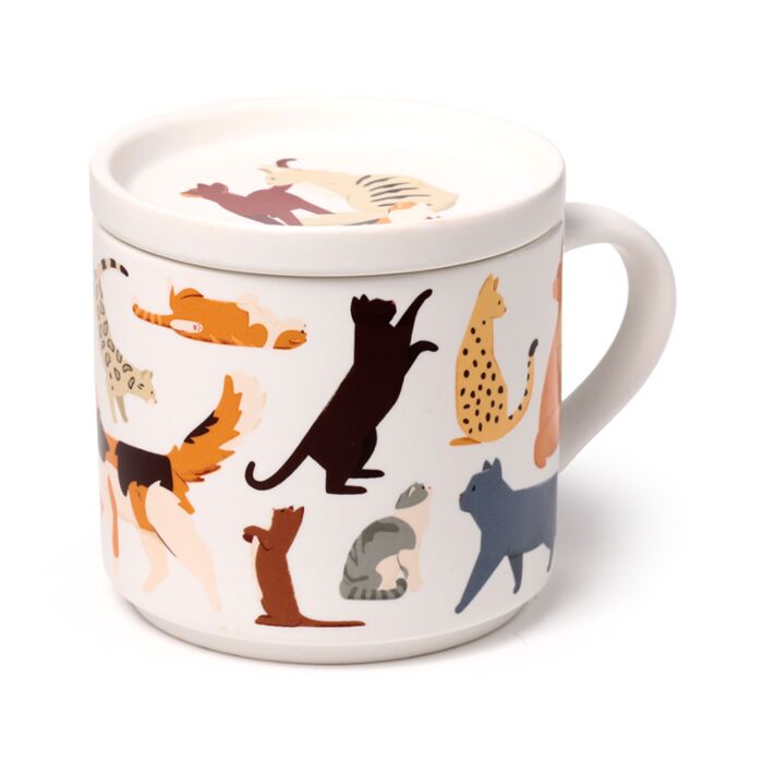 Puckator Feline Fine Cats Porcelain Mug & Coaster Lid Set