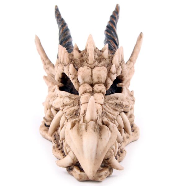 Puckator Dragon Skull Money Box