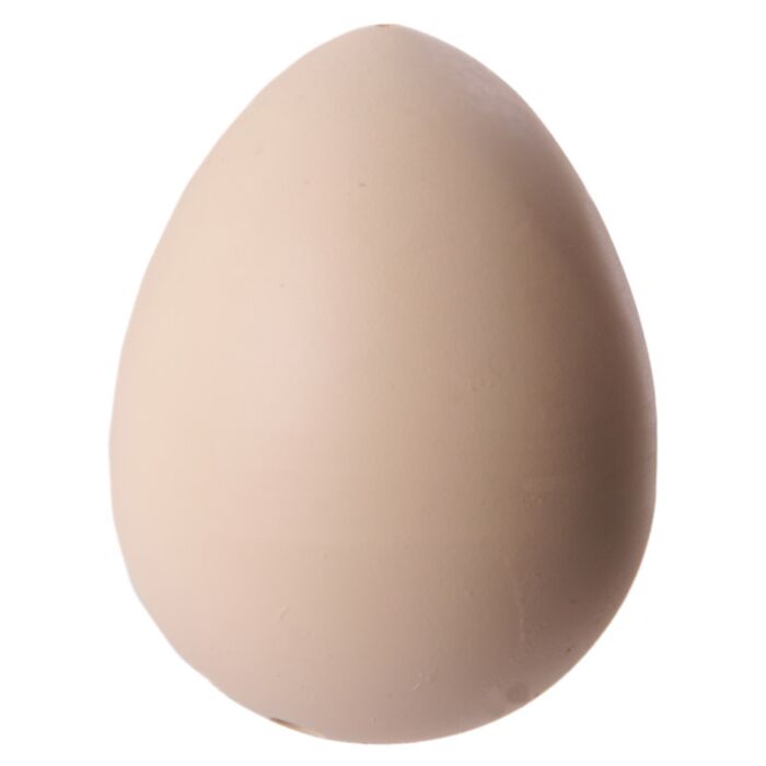 Puckator Chicken Hatching Egg